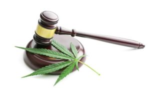 Medical Marijuana Criminal Attorney